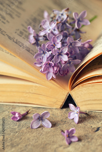 Lilac flowers with old book