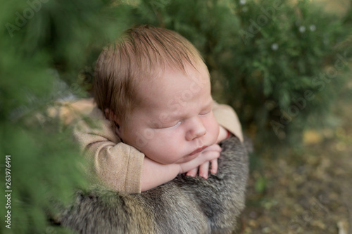 newborn child.  newborn photo shoot. baby. photo shoot in nature