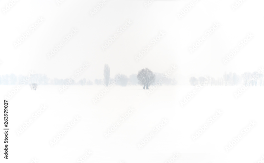 Panoramic view of snowy landscape with trees.