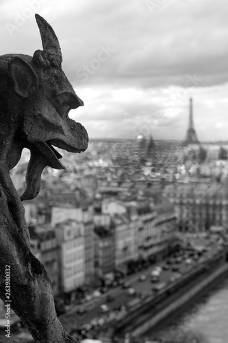 Gargoyle of Notre Dame in Paris