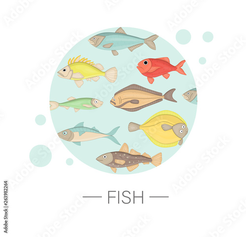 Vector  colored set of sea fish framed in blue circle isolated on white background . Colorful marine collection. Underwater illustration