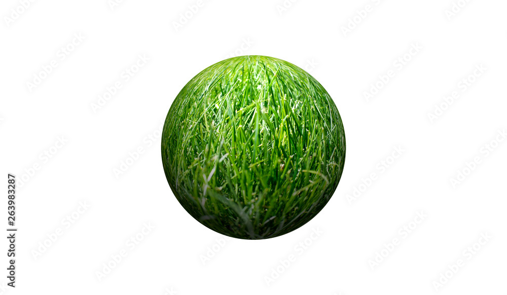 The field of grass on a white background The field of grass on a white background