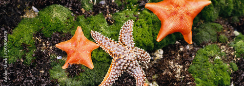 Paisagens panoramicas