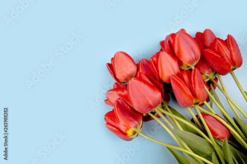 Spring tulip flowers on pink background top view in flat lay style. Greeting for Womens or Mothers Day.