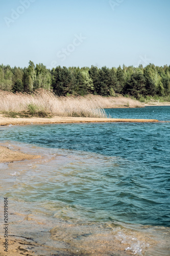 beach with water