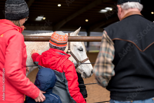 Horse Show