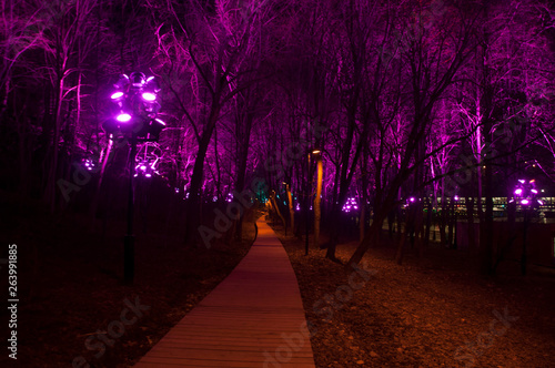 Moscow, Vorobyovy Gory Park