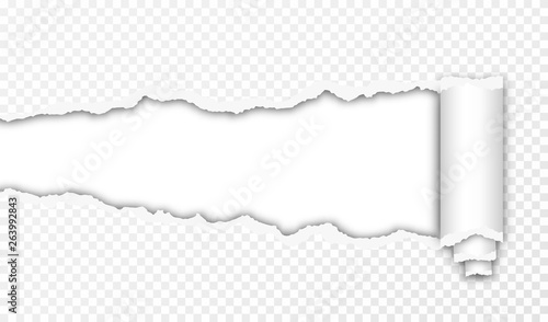 Torn paper with ripped edges and transparent space for you design. Paper texture with rolled up and ripped edges. Horizontal banner with hole in the paper. Vector