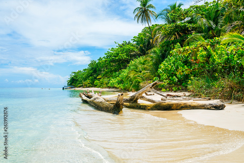 Panama, Bocas del Toro, Cayo Zapatilla, beach photo