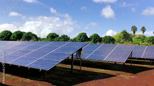 blue photovoltaic solar panels energy on red soil land with trees, palms and sky in the background, walking next to solar power cells in tropical nature