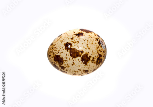 egg isolated on white background