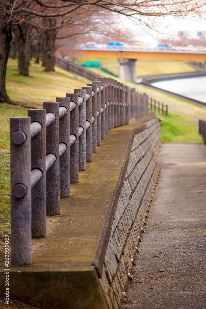 Obraz premium row of benches in the park