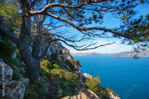 Spain, Balearic Islands, Mallorca, Peninsula Alcudia, hiking trail to Penya del Migdia photo
