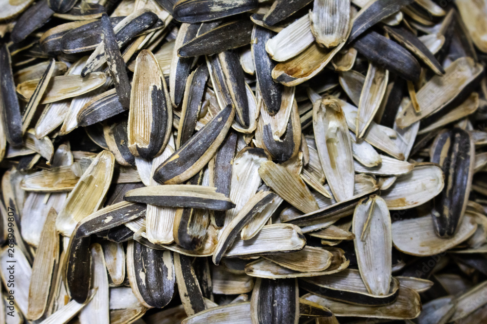 Close up of a pile of sunflower seed shells. Close up of a pile of sunflower seed shells.