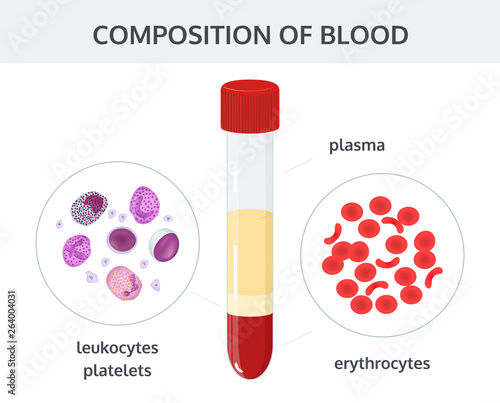 Medical vector concept on white background: blood analysis in test tubes and blood cells: erythrocytes, leukocytes, platelets.