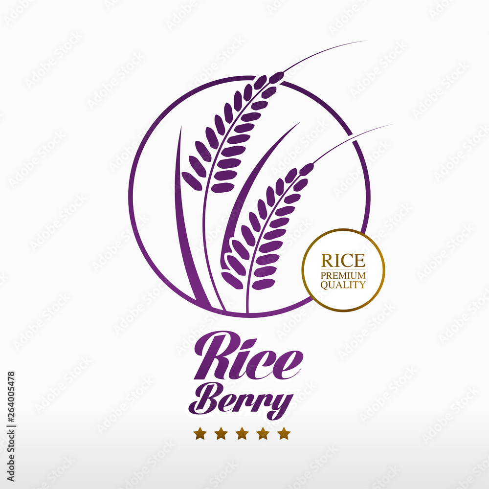 Premium Rice Berry great quality design concept  vector.