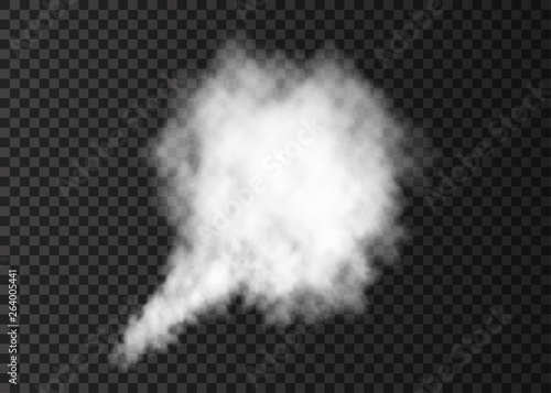 White  smoke burst  isolated on transparent background.