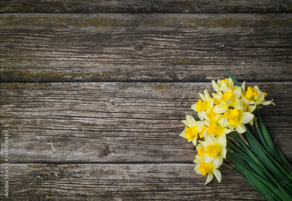 Obraz premium bouquet of fresh spring flowers daffodils on a wooden background. Banner. Top view