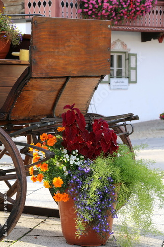 Blumenkutsche