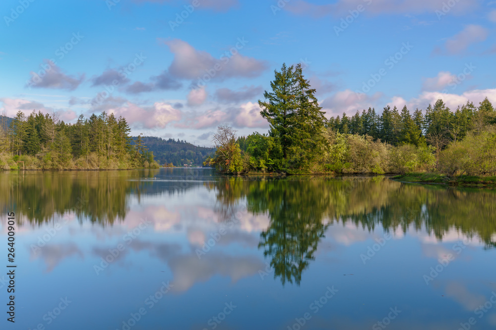 Calm Waters Along Mud Bay, Puget Sound At Early Morning