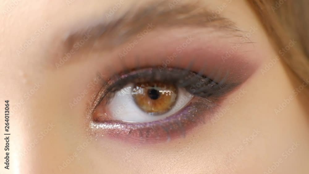 Beautiful Woman Brown eye holiday makeup. Make-up close-up. Young Woman eye macro shoot. Smokey, Smoky eyes. Beautiful Woman Brown eye holiday makeup. Make-up close-up. Young Woman eye macro shoot. Smokey, Smoky eyes.