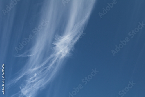 white cloud,air,sky, blue, clouds,space, high, wind, atmosphere, cloudscape,