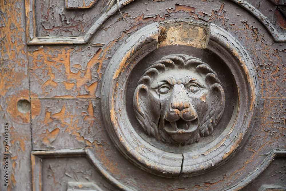 Wooden lion door. Lions gaze from weathered wooden door for graphic and web design, for website or mobile app. Wooden lion door. Lions gaze from weathered wooden door for graphic and web design, for website or mobile app.