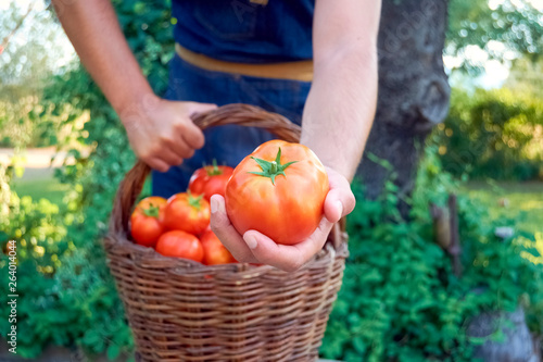 man with a basket of tomatoes.