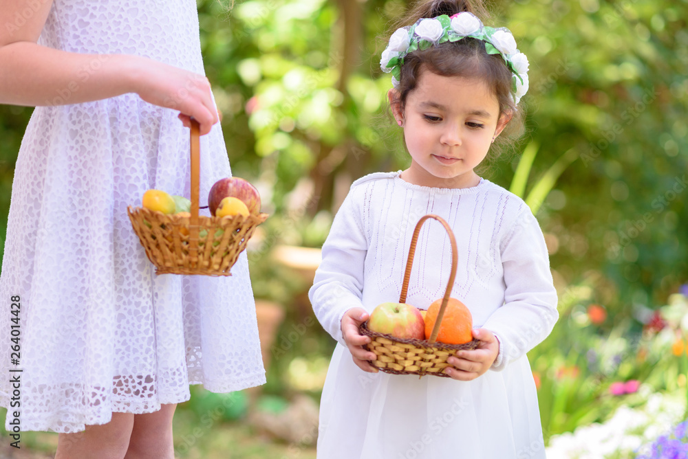 Harvest. Shavuot. Close up little girls holds basket with fruits at the garden. Portrait adorable small kids outdoor. Harvest. Shavuot. Close up little girls holds basket with fruits at the garden. Portrait adorable small kids outdoor.