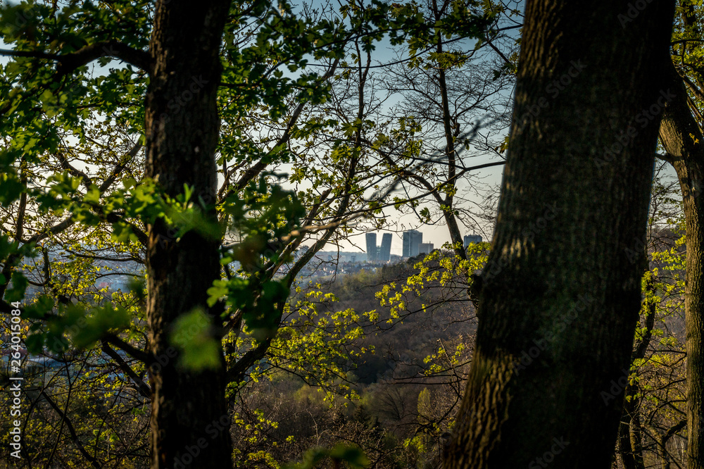 Kunratice forest - view from beautiful green park with ruins of New Castle during sunset in Prague (secret gem, popular travel destination in Czech Republic, Europe)