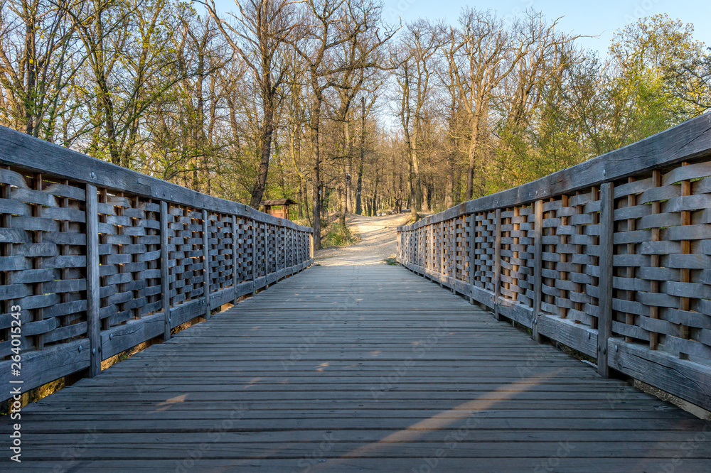 Kunratice forest - beautiful green park with path and bridge during sunset in Prague (secret gem, popular travel destination in Czech Republic, Europe) Kunratice forest - beautiful green park with path and bridge during sunset in Prague (secret gem, popular travel destination in Czech Republic, Europe)