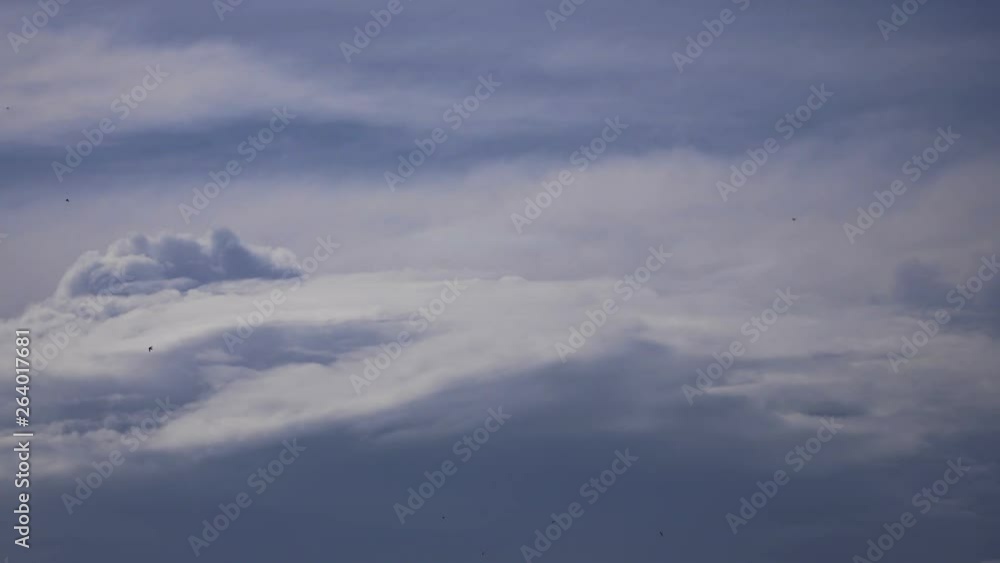 Dramatic beautiful clouds and flying birds Dramatic beautiful clouds and flying birds