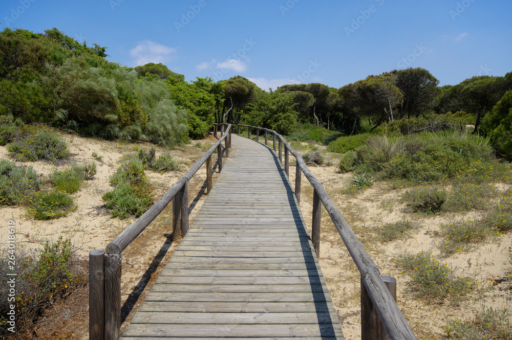 A wooden boardwalk across the dunes leading to El Portil beach, Province Huelva, Andalusia, Spain
