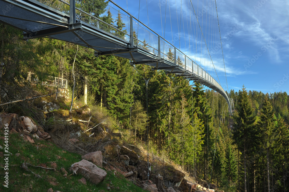 Fototapeta premium Hängebrücke Wild Line
