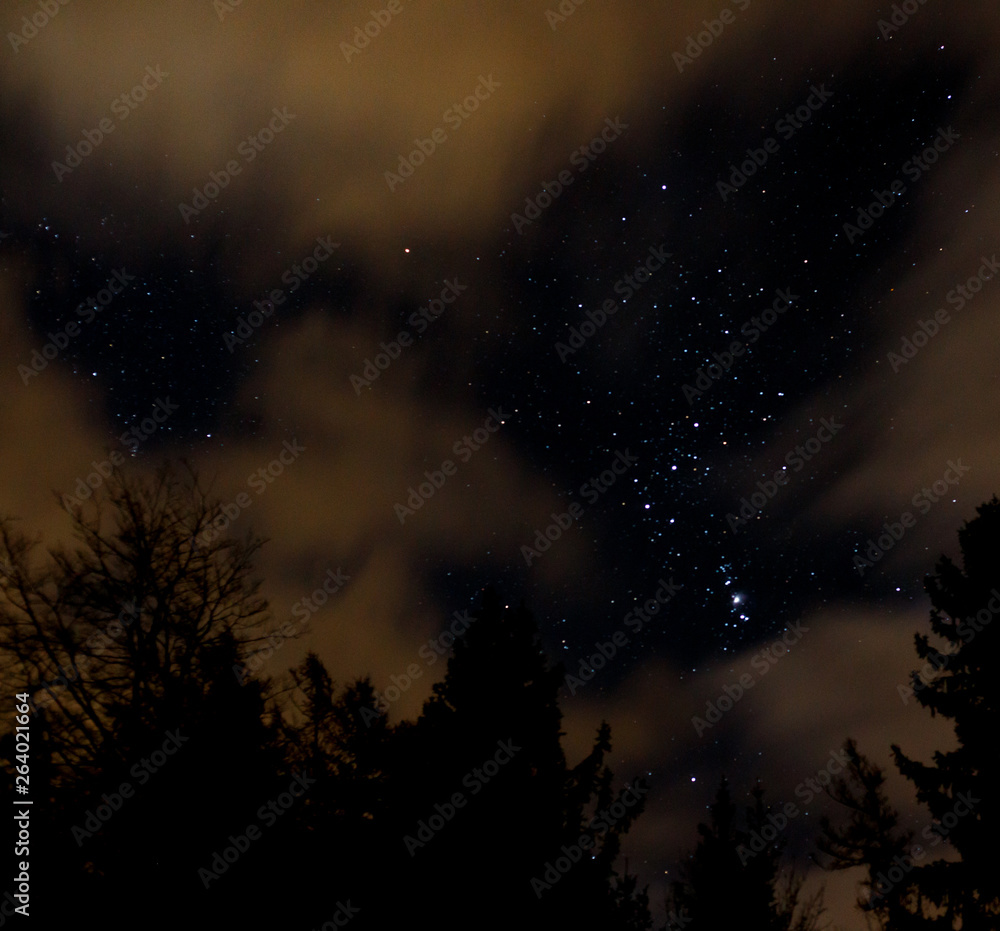 night sky with orion, clouds and trees