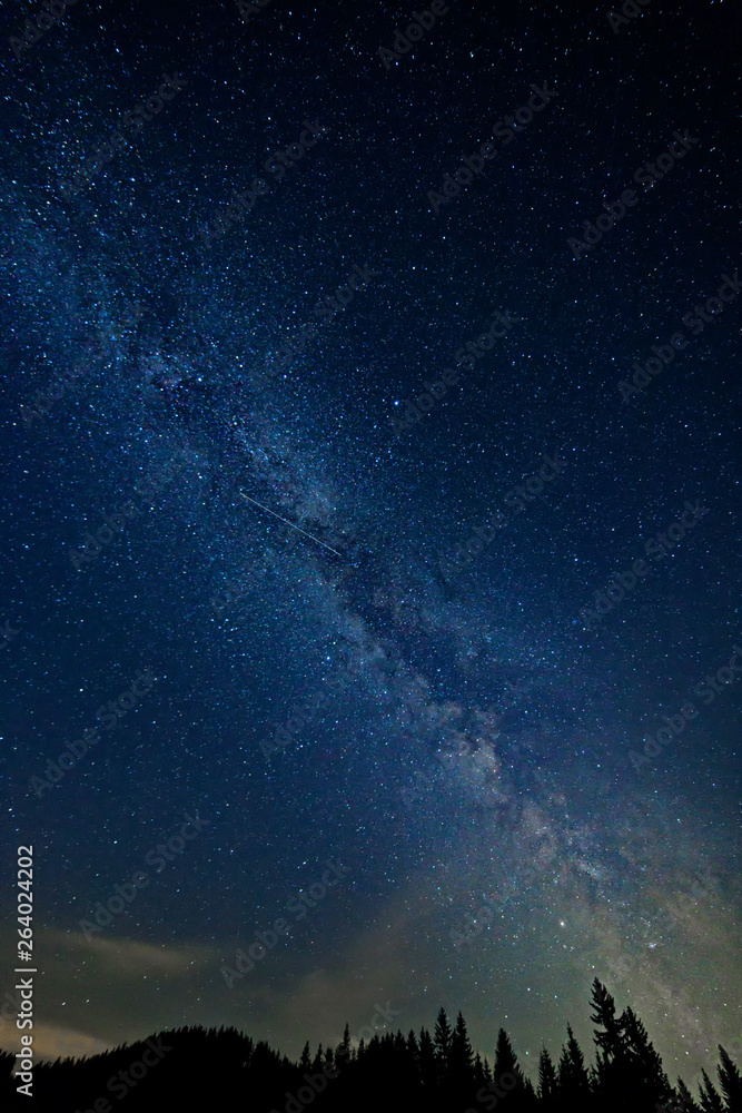 Fototapeta premium colorful milky way with tree silhouette in the austrian alps in winter