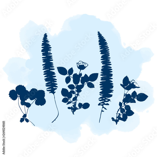 Botanical illustration with herbs, plants, flowers and leaves. Isolated vector silhouettes on watercolor splash background. Graphic design for background, card, web banner, poster, invitation.