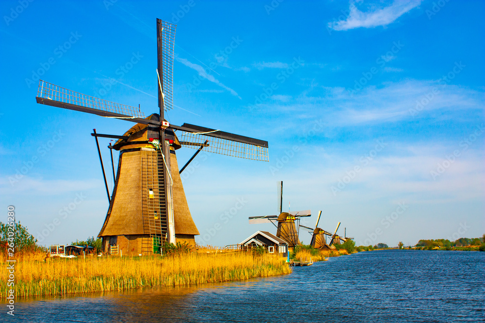 Windmill at Kinderdijk - beautiful sunny day