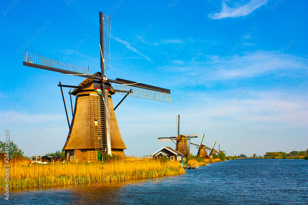 Naklejka premium Windmill at Kinderdijk - beautiful sunny day