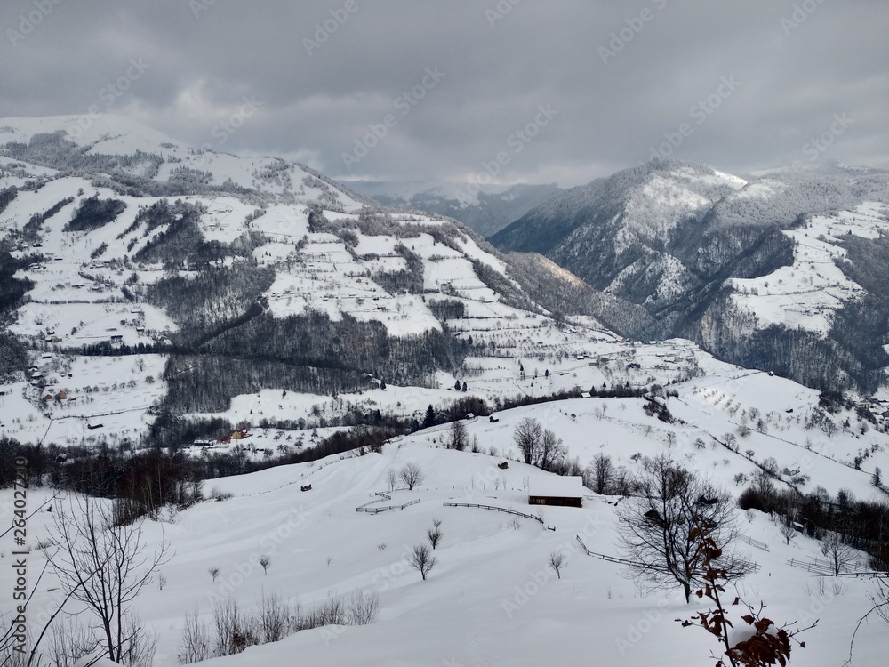  Bonito Paisaje de invierno en la montañas de los carpatos con árboles cubiertos de nieve en Rumania, Trasilvania, pueblo de Parva.