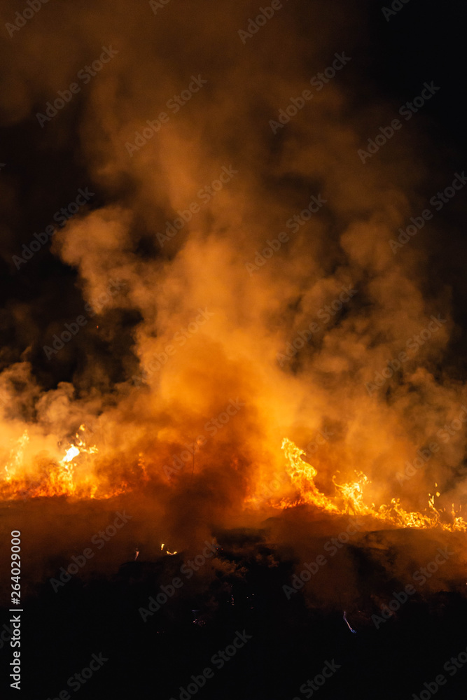 burning grass in a field at night in spring