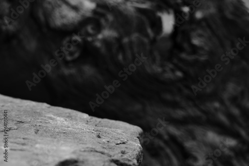 The Edge of a Rock, Showing Selective Focus to the Middle of the Stone, with a Blurred Tree Root Background.