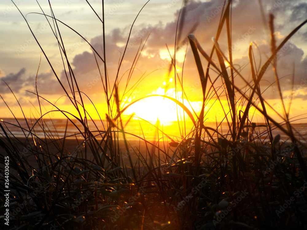 Fototapeta premium Sunrise over the bush