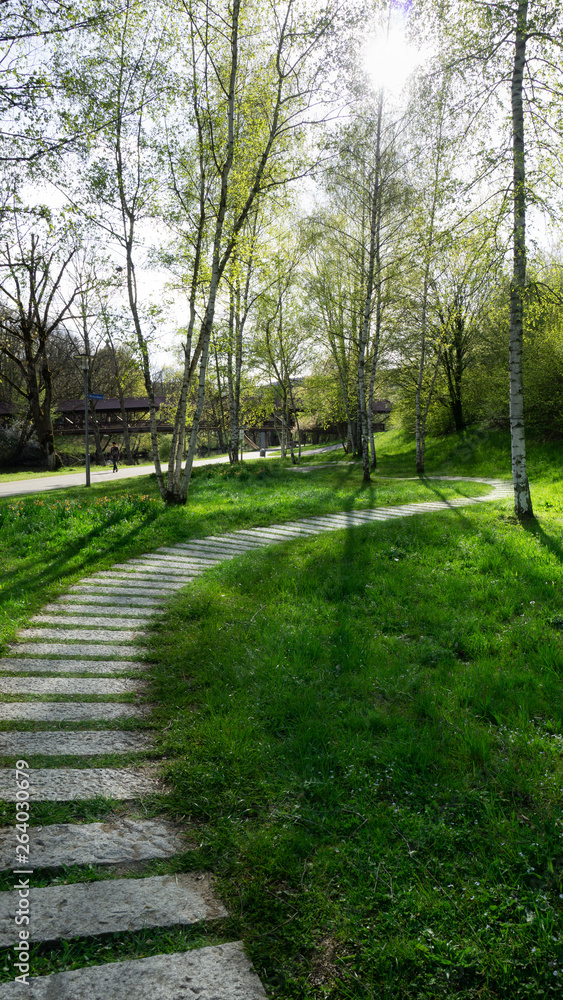 stone path through the park