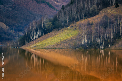 Trees reflecting in a lake of waste from a copper mining company during spring time in Romania