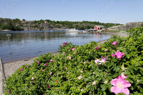 Hvasserveien, Sandefjord, Vestfold Fylke, Norge photo