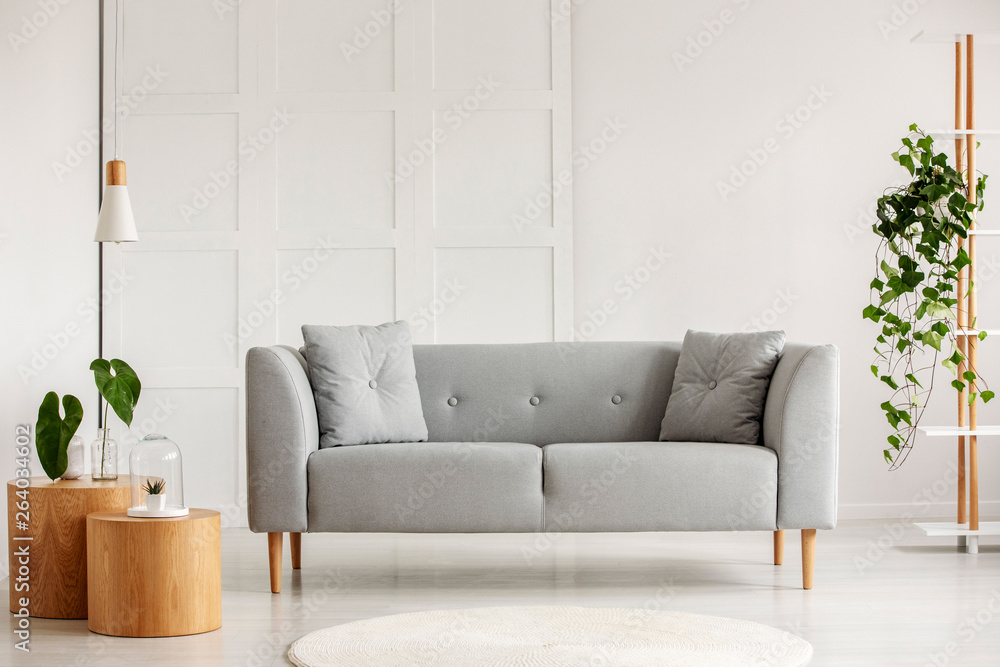 Grey modern sofa in the center of living room - obrazy, fototapety, plakaty 