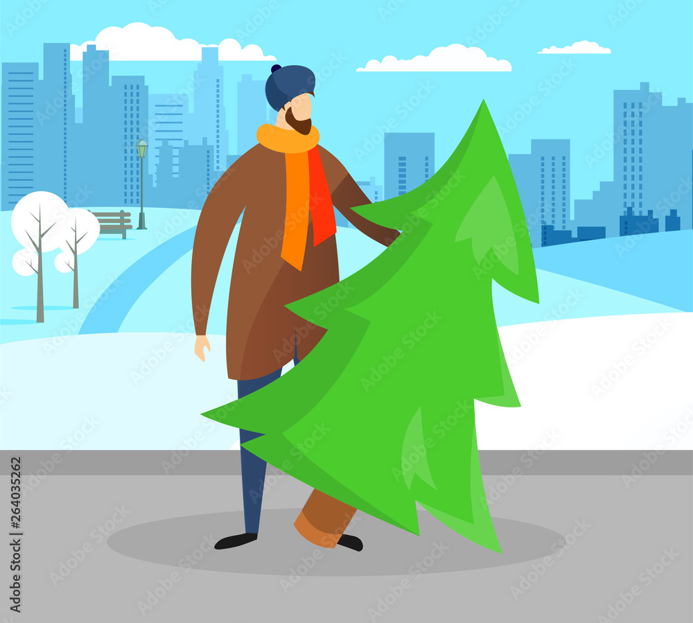 Fototapeta premium Bearded Man Carry Green Christmas Tree at City.