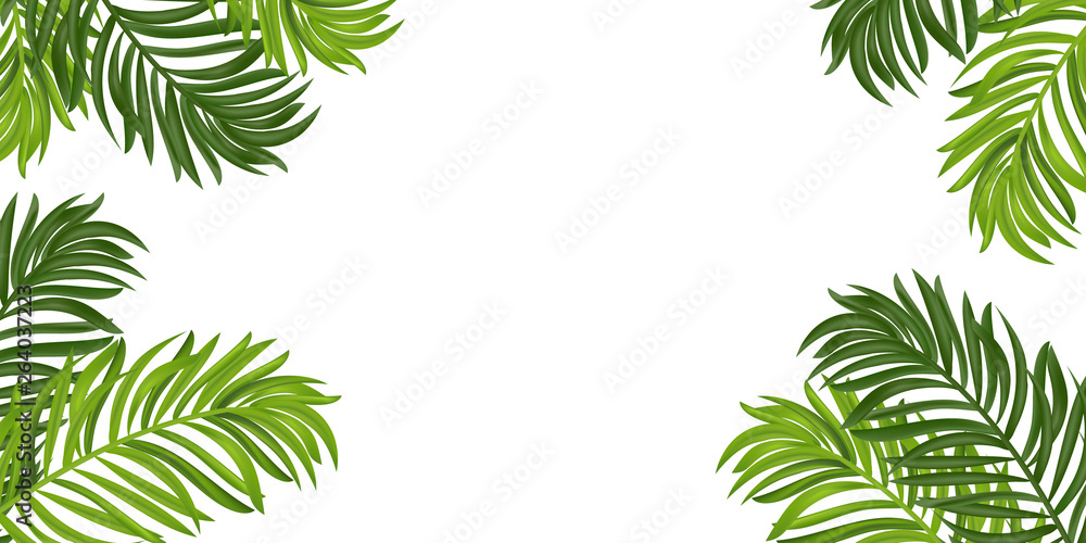 Tropical leaves frame. Summer Tropical palm tree on white background with  space for text. Summer mood, tropical background blank. Top view. Vector  illustration. Stock Vector