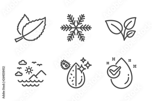 Mint leaves, Leaves and Snowflake icons simple set. Sea mountains, Dirty water and Water drop signs. Mentha herbal, Grow plant. Nature set. Line mint leaves icon. Editable stroke. Vector